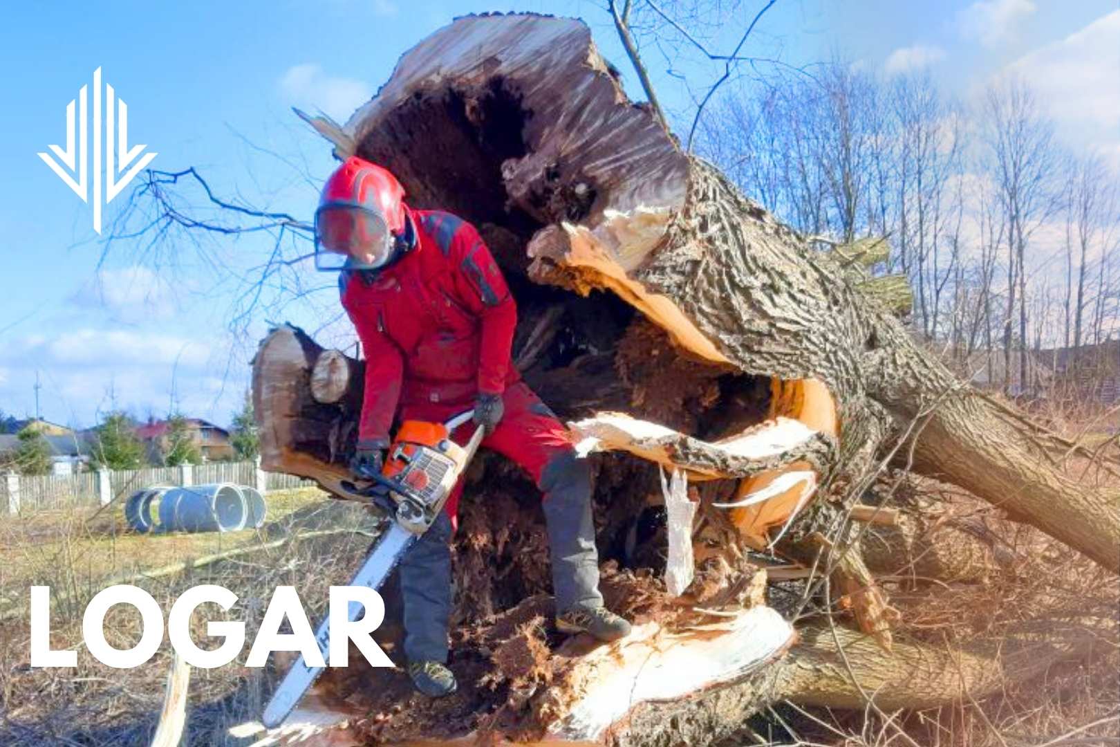 Wycinka drzewa po wichurze, złamane drzewo, wiatrołom