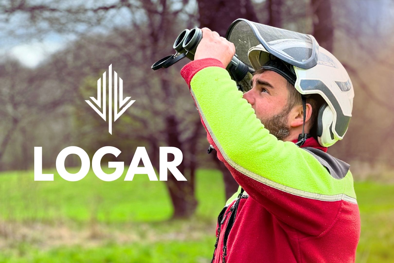 sezon lęgowy ptaków, wycinka drzew a sezon lęgowy